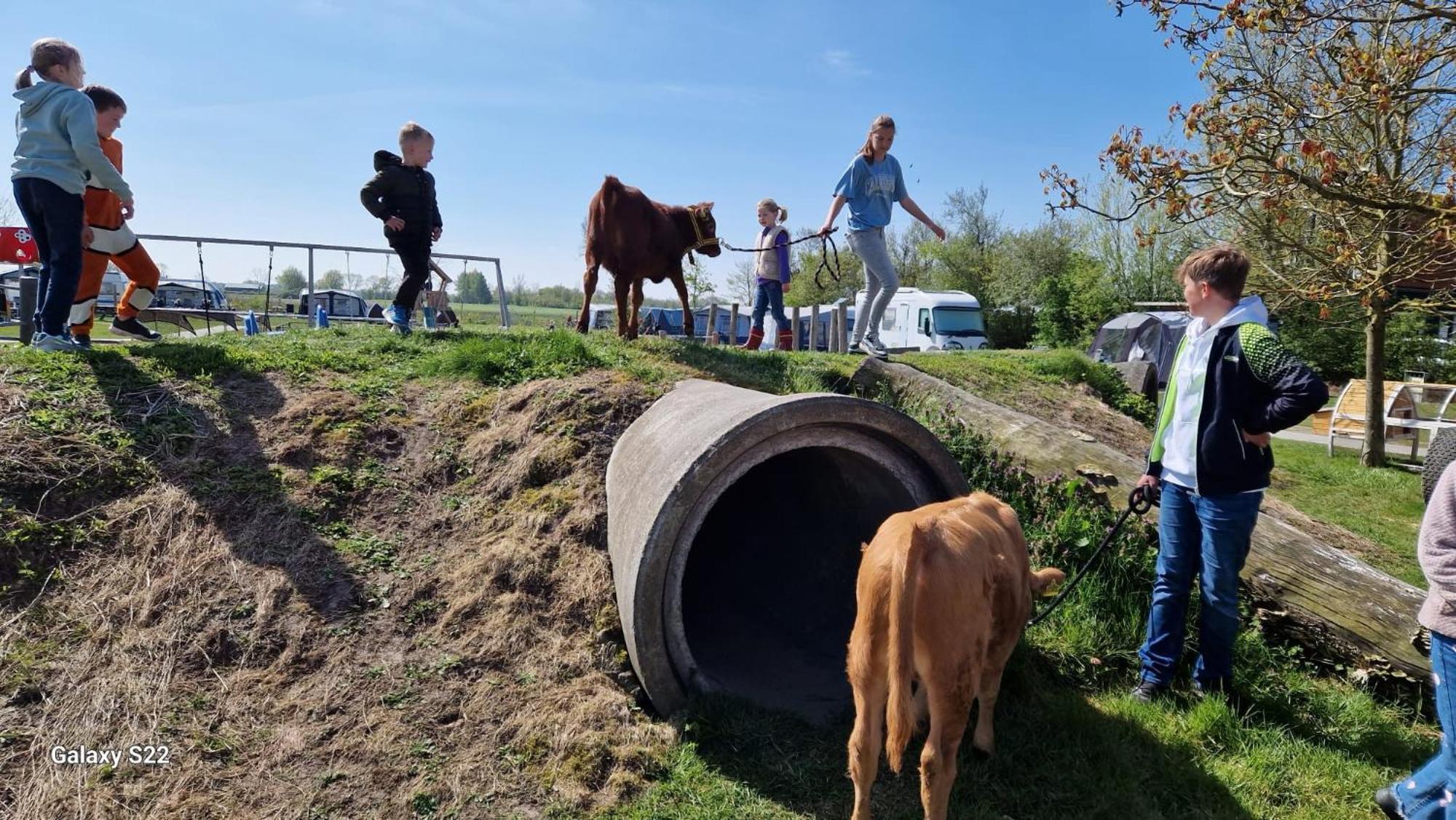 De Broodkist Villa Koudekerke Esterno foto